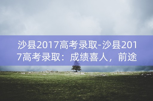 沙县2017高考录取-沙县2017高考录取：成绩喜人，前途无限