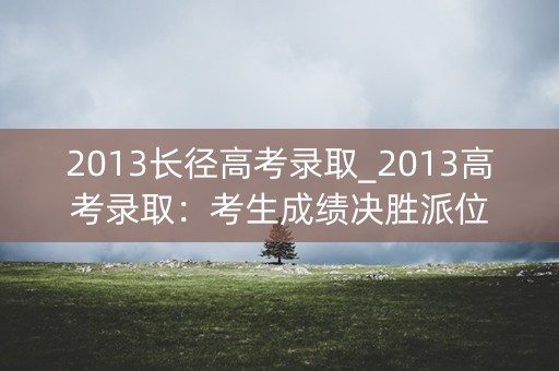 2013长径高考录取_2013高考录取：考生成绩决胜派位