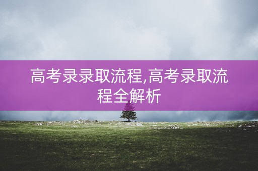 高考录录取流程,高考录取流程全解析