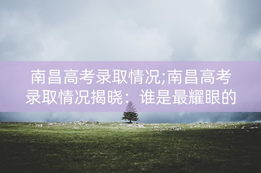 南昌高考录取情况;南昌高考录取情况揭晓：谁是最耀眼的新星？