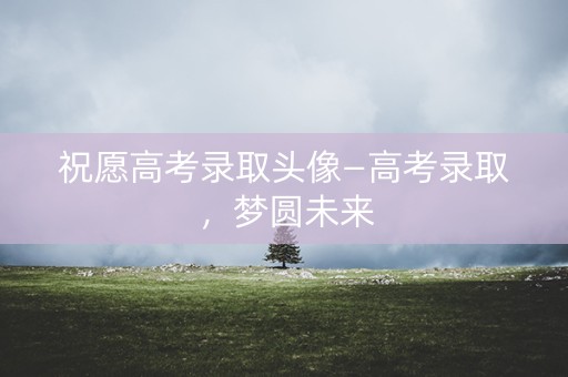 祝愿高考录取头像—高考录取，梦圆未来