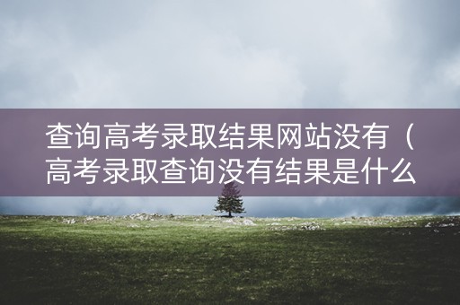 查询高考录取结果网站没有（高考录取查询没有结果是什么意思）