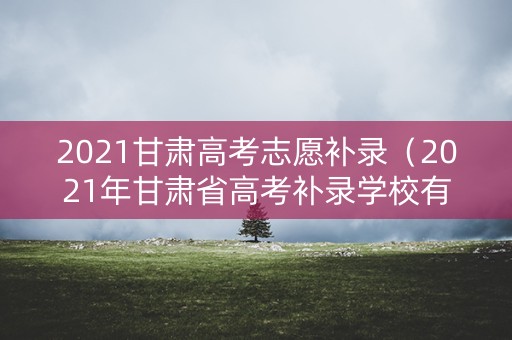 2021甘肃高考志愿补录（2021年甘肃省高考补录学校有哪些）