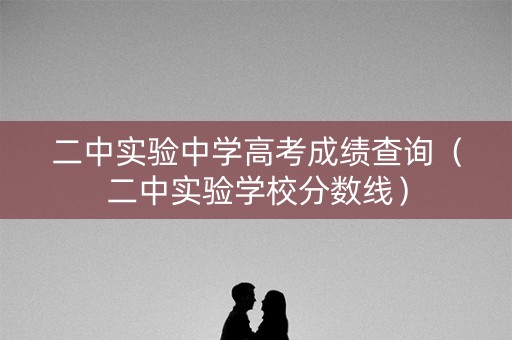 二中实验中学高考成绩查询（二中实验学校分数线）