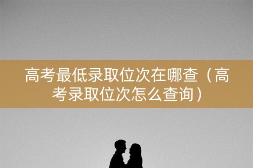 高考最低录取位次在哪查（高考录取位次怎么查询）