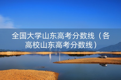 全国大学山东高考分数线（各高校山东高考分数线）