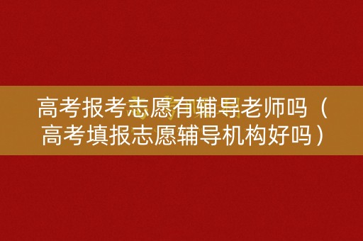高考报考志愿有辅导老师吗（高考填报志愿辅导机构好吗）