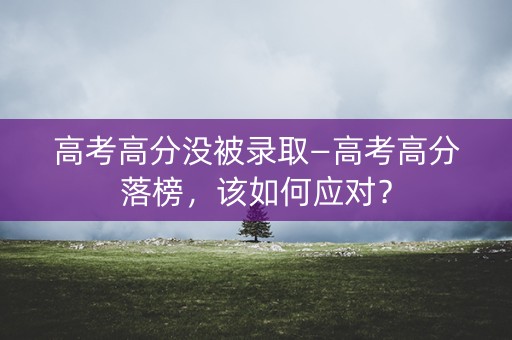 高考高分没被录取—高考高分落榜，该如何应对？