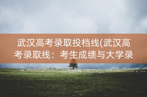 武汉高考录取投档线(武汉高考录取线：考生成绩与大学录取趋势)