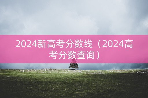 2024新高考分数线（2024高考分数查询）