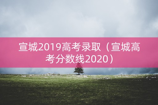 宣城2019高考录取（宣城高考分数线2020）