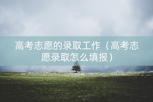 高考志愿的录取工作（高考志愿录取怎么填报）