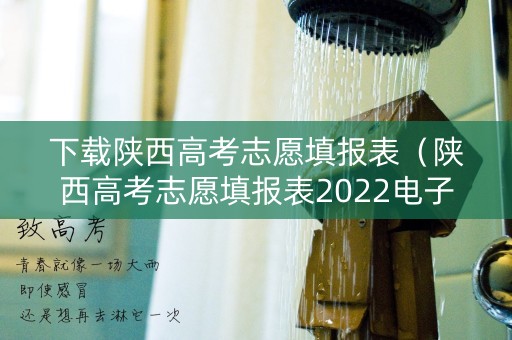 下载陕西高考志愿填报表（陕西高考志愿填报表2022电子版）