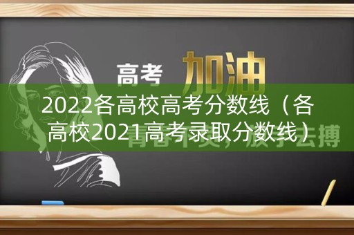 2022各高校高考分数线（各高校2021高考录取分数线）