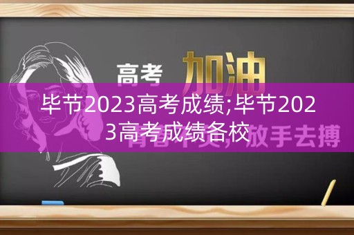 毕节2023高考成绩;毕节2023高考成绩各校
