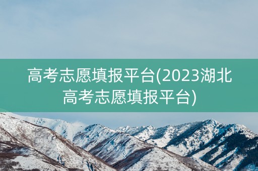 高考志愿填报平台(2023湖北高考志愿填报平台)