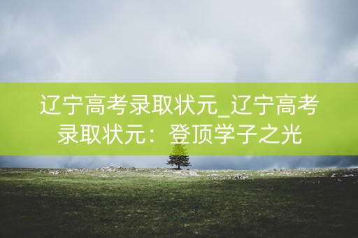 辽宁高考录取状元_辽宁高考录取状元:登顶学子之光 辽宁高考录取状元_辽宁高考录取状元:登顶学子之光