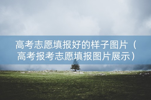高考志愿填报好的样子图片（高考报考志愿填报图片展示）