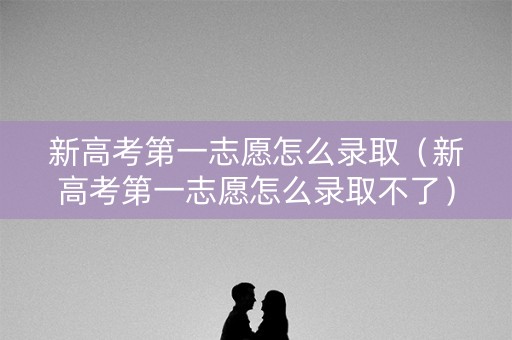 新高考第一志愿怎么录取（新高考第一志愿怎么录取不了）