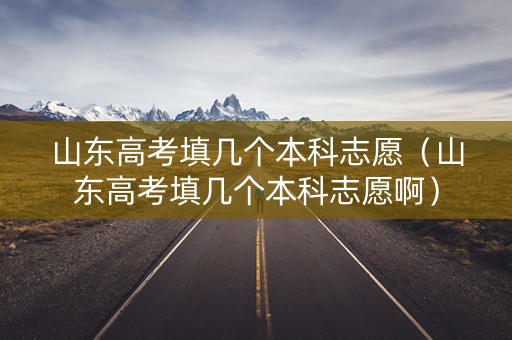 山东高考填几个本科志愿（山东高考填几个本科志愿啊）