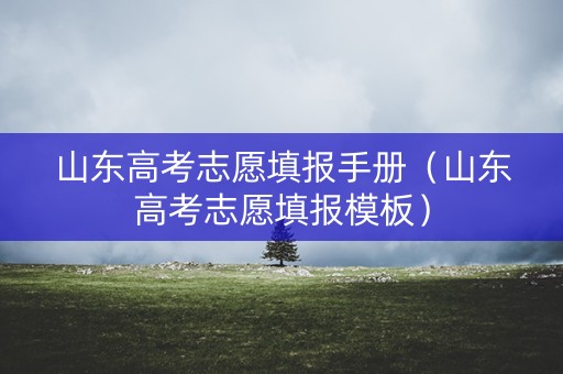 山东高考志愿填报手册（山东高考志愿填报模板）
