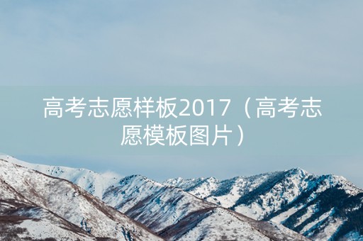 高考志愿样板2017（高考志愿模板图片）