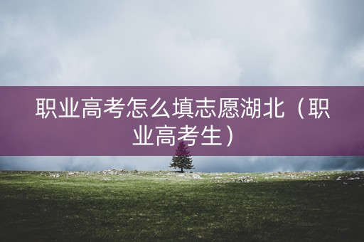 职业高考怎么填志愿湖北(职业高考生) 职业高考怎么填志愿湖北(职业高考生)