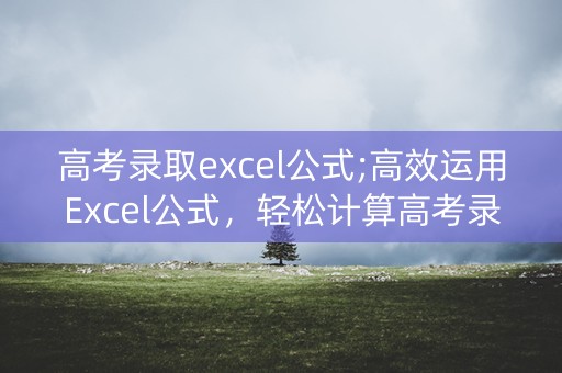 高考录取excel公式;高效运用Excel公式，轻松计算高考录取