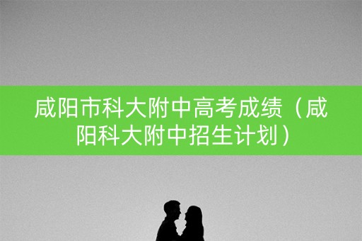 咸阳市科大附中高考成绩（咸阳科大附中招生计划）