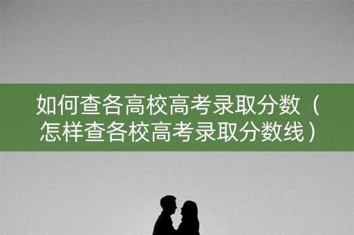 如何查各高校高考录取分数(怎样查各校高考录取分数线) 如何查各高校高考录取分数(怎样查各校高考录取分数线)