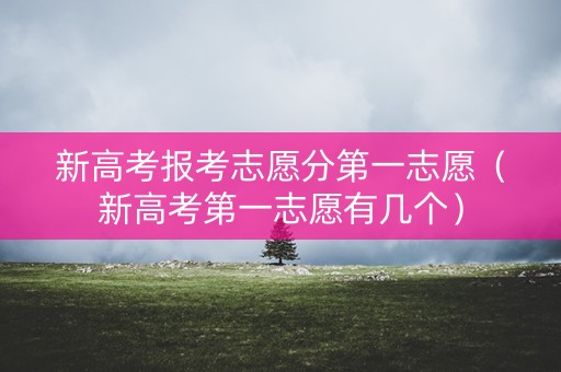 新高考报考志愿分第一志愿(新高考第一志愿有几个) 新高考报考志愿分第一志愿(新高考第一志愿有几个)