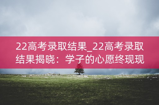 22高考录取结果_22高考录取结果揭晓：学子的心愿终现现实