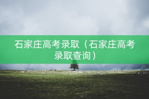 石家庄高考录取（石家庄高考录取查询）