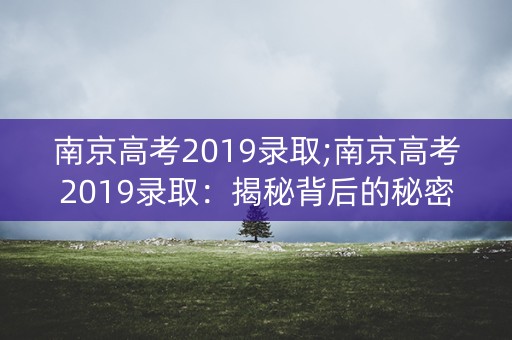 南京高考2019录取;南京高考2019录取：揭秘背后的秘密