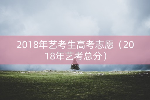 2018年艺考生高考志愿（2018年艺考总分）