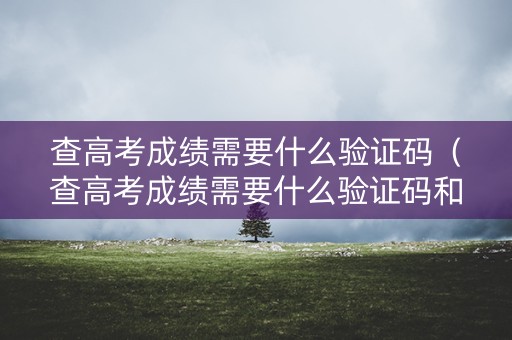 查高考成绩需要什么验证码（查高考成绩需要什么验证码和手机号）