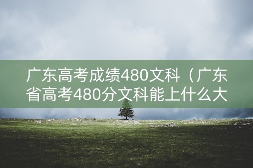 广东高考成绩480文科（广东省高考480分文科能上什么大学）