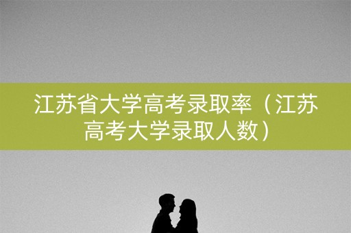 江苏省大学高考录取率（江苏高考大学录取人数）