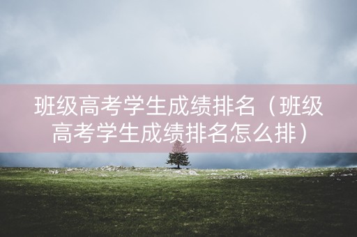 班级高考学生成绩排名（班级高考学生成绩排名怎么排）