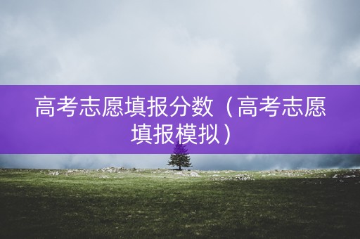 高考志愿填报分数（高考志愿填报模拟）