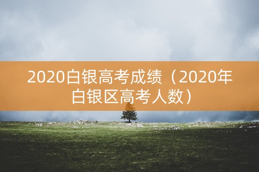 2020白银高考成绩（2020年白银区高考人数）