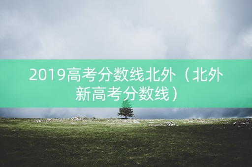 2019高考分数线北外（北外新高考分数线）