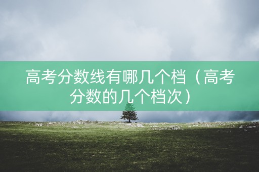 高考分数线有哪几个档（高考分数的几个档次）