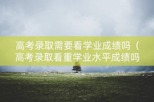 高考录取需要看学业成绩吗（高考录取看重学业水平成绩吗）