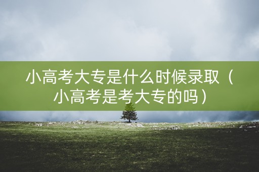 小高考大专是什么时候录取（小高考是考大专的吗）