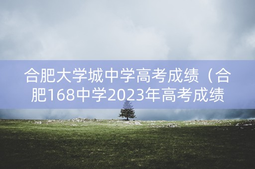 合肥大学城中学高考成绩（合肥168中学2023年高考成绩）