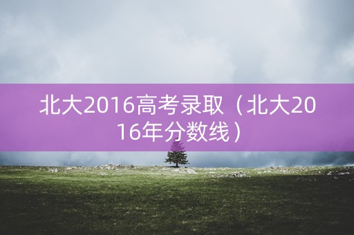 北大2016高考录取（北大2016年分数线）