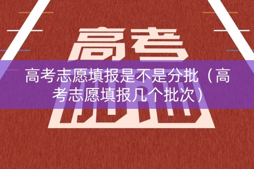 高考志愿填报是不是分批（高考志愿填报几个批次）