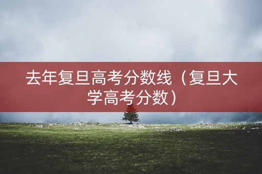 去年复旦高考分数线（复旦大学高考分数）