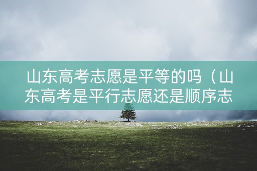 山东高考志愿是平等的吗（山东高考是平行志愿还是顺序志愿）
